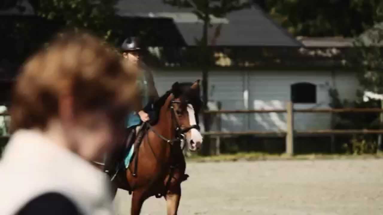 Het Ruiterbewijs, onmisbaar voor iedereen die paardrijdt!