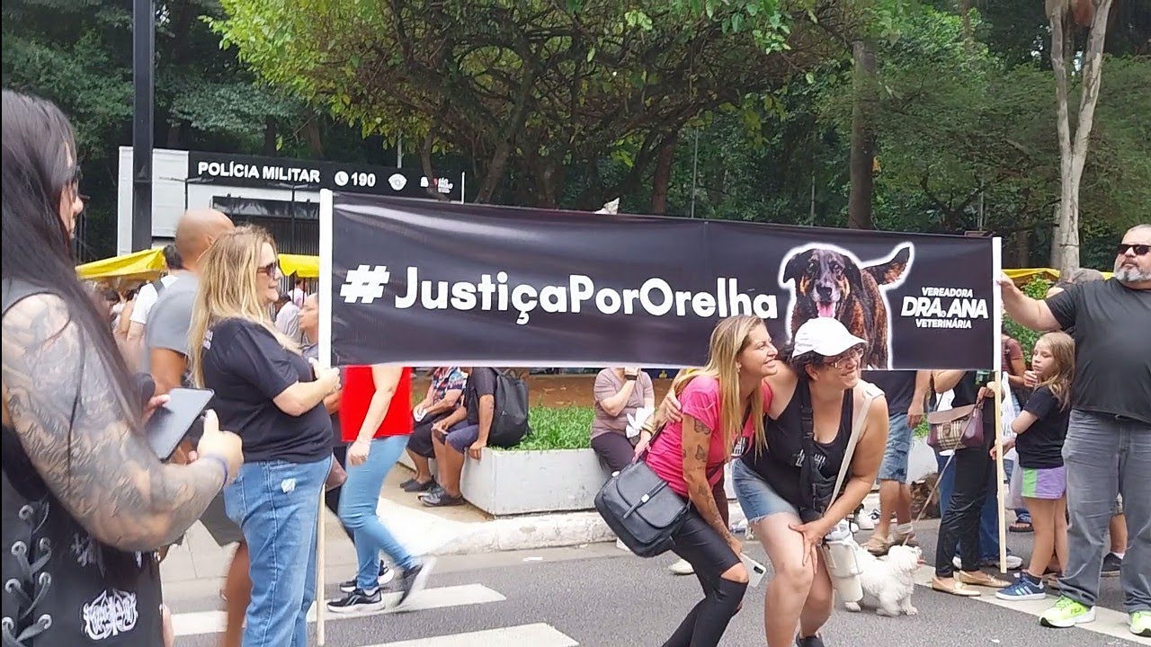 1/2/26 #AvPaulista #Manifestação #JustiçaPeloOrelha #Masp