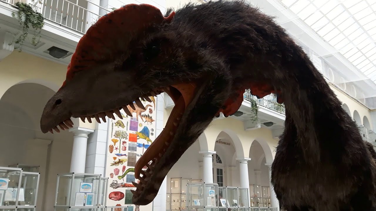 Muzeum Geologiczne, Warszawa, ul.  Rakowiecka 4