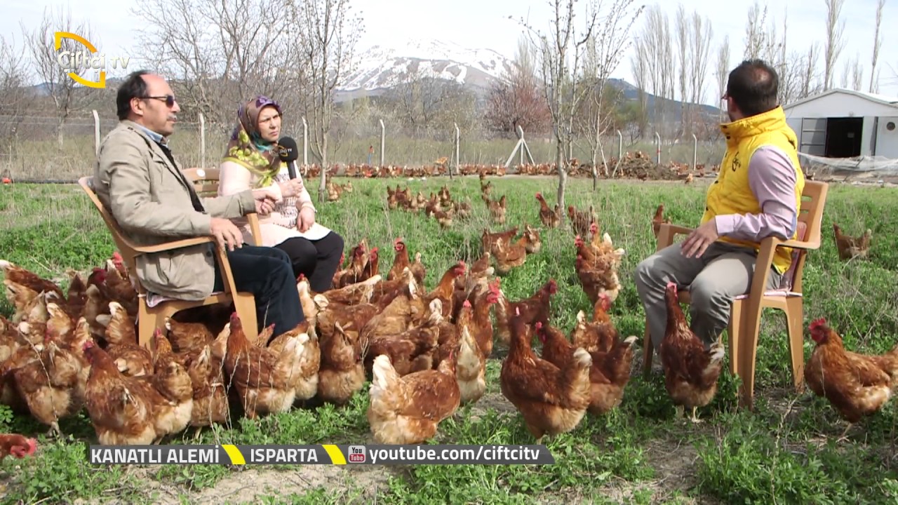 Kanatlı Alemi - Isparta'da  Kümes Kurulum Aşaması