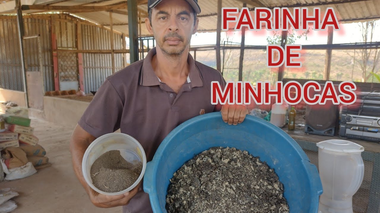FARINHA DE MINHOCAS,FAZENDO E MOSTRANDO O PASSO A PASSO .