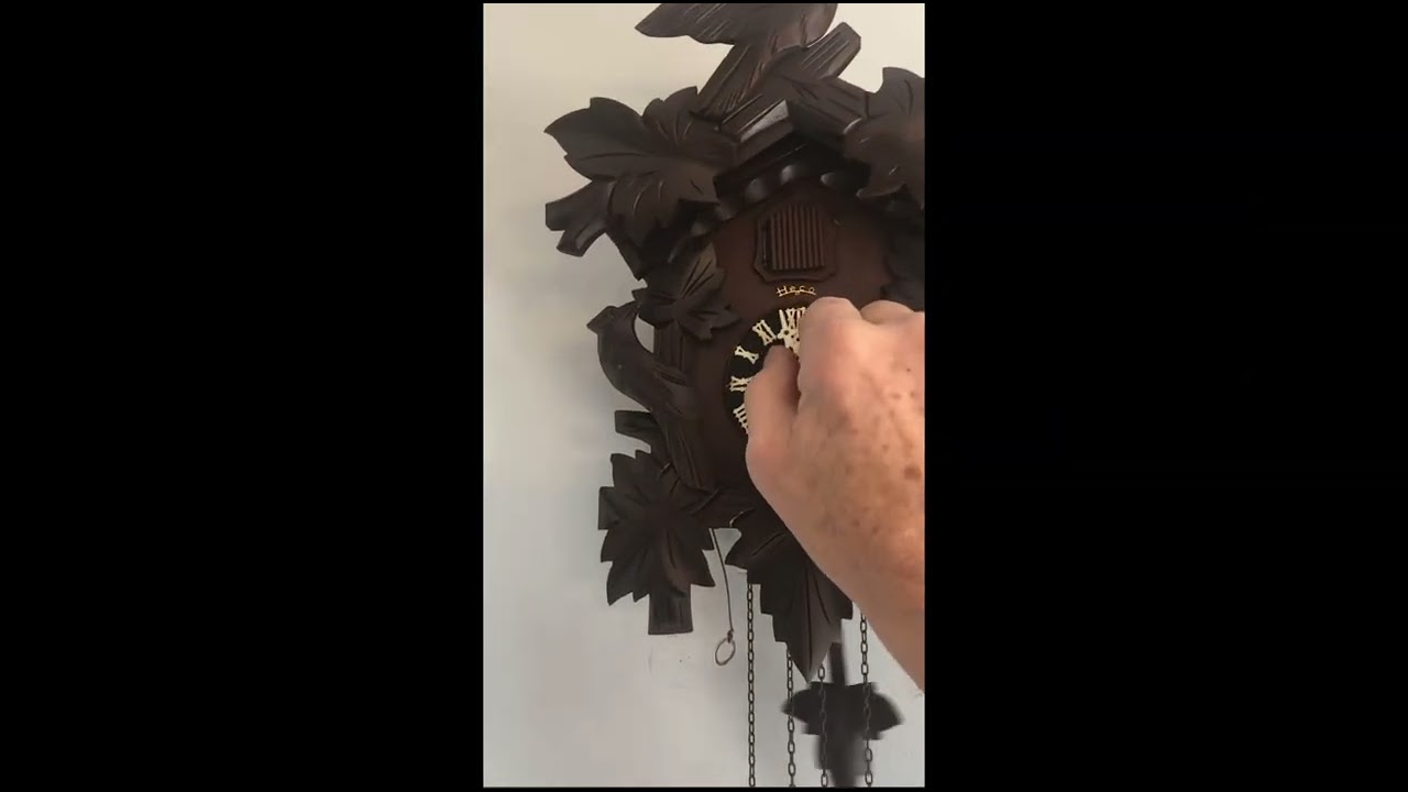 Every cuckoo clocks chiming part 7