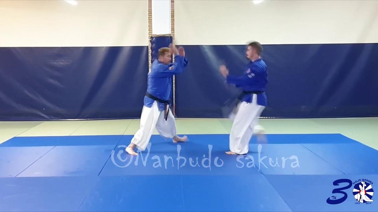 Randori Irimi no Kata.- Zona Técnica (NANBUDO)