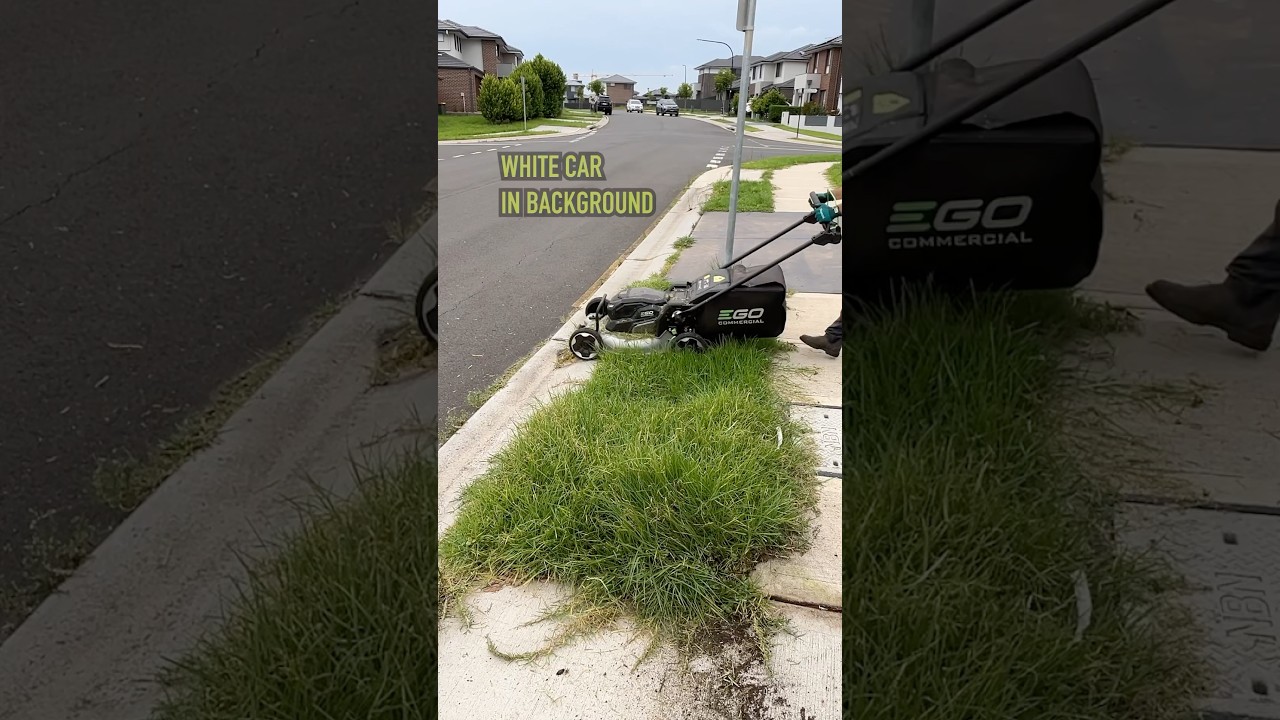The Lawn Was Taking Over The Sidewalk! #satisfying #freemowfridays