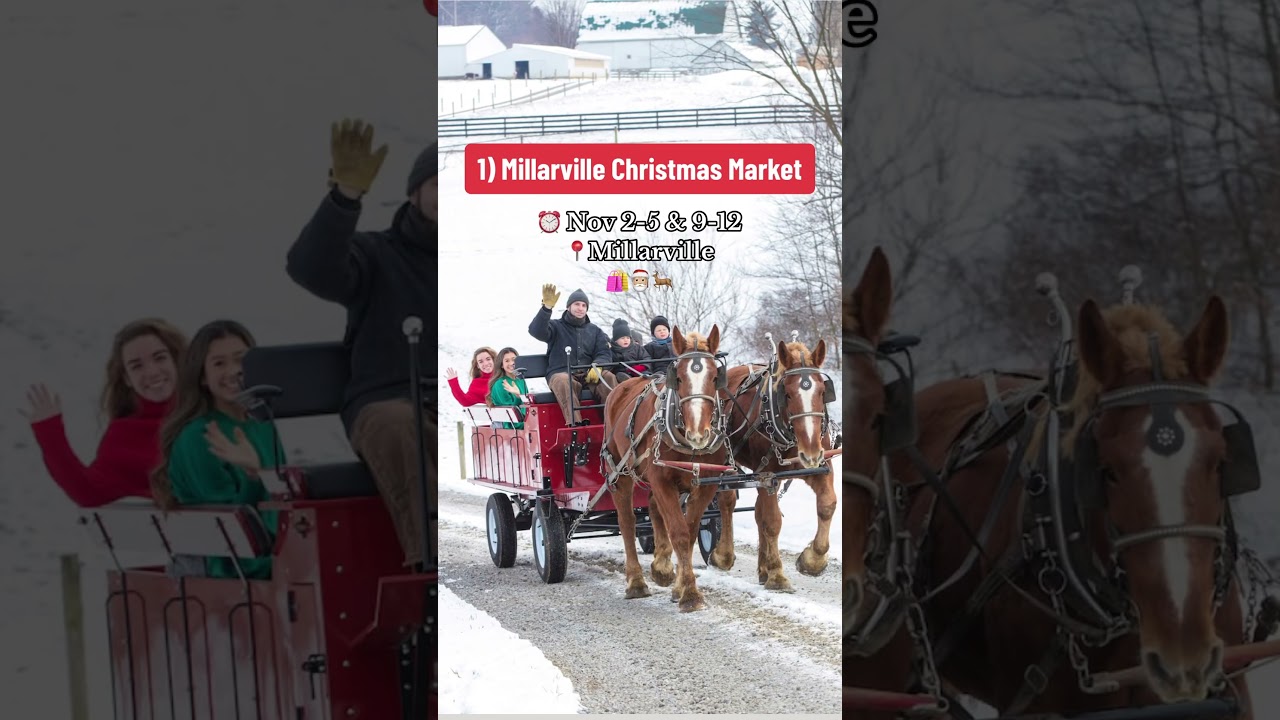 3 Calgary Christmas Events you&rsquo;ll wanna jump on now!!🎅🏼🎄🦌 #yyc