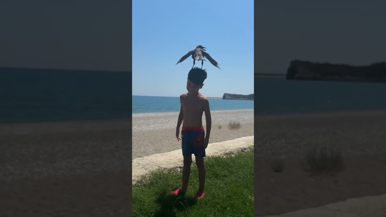MU&MUTV Dostumuz karga kardeş!