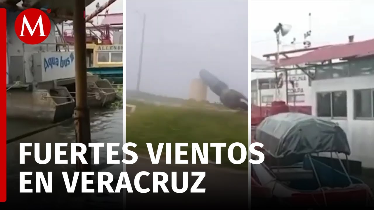 Frente Frío No. 14 en Veracruz provoca caída de árboles y postes