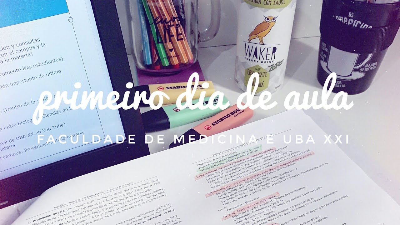 PRIMEIRO DIA DE AULA + não sei o que estou fazendo + uba xxi  #DailyVlog