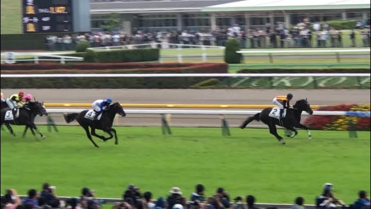 【現地】ジョドレルバンク D.レーン メイクデビュー東京 2歳新馬戦 エフフォーリア産駒