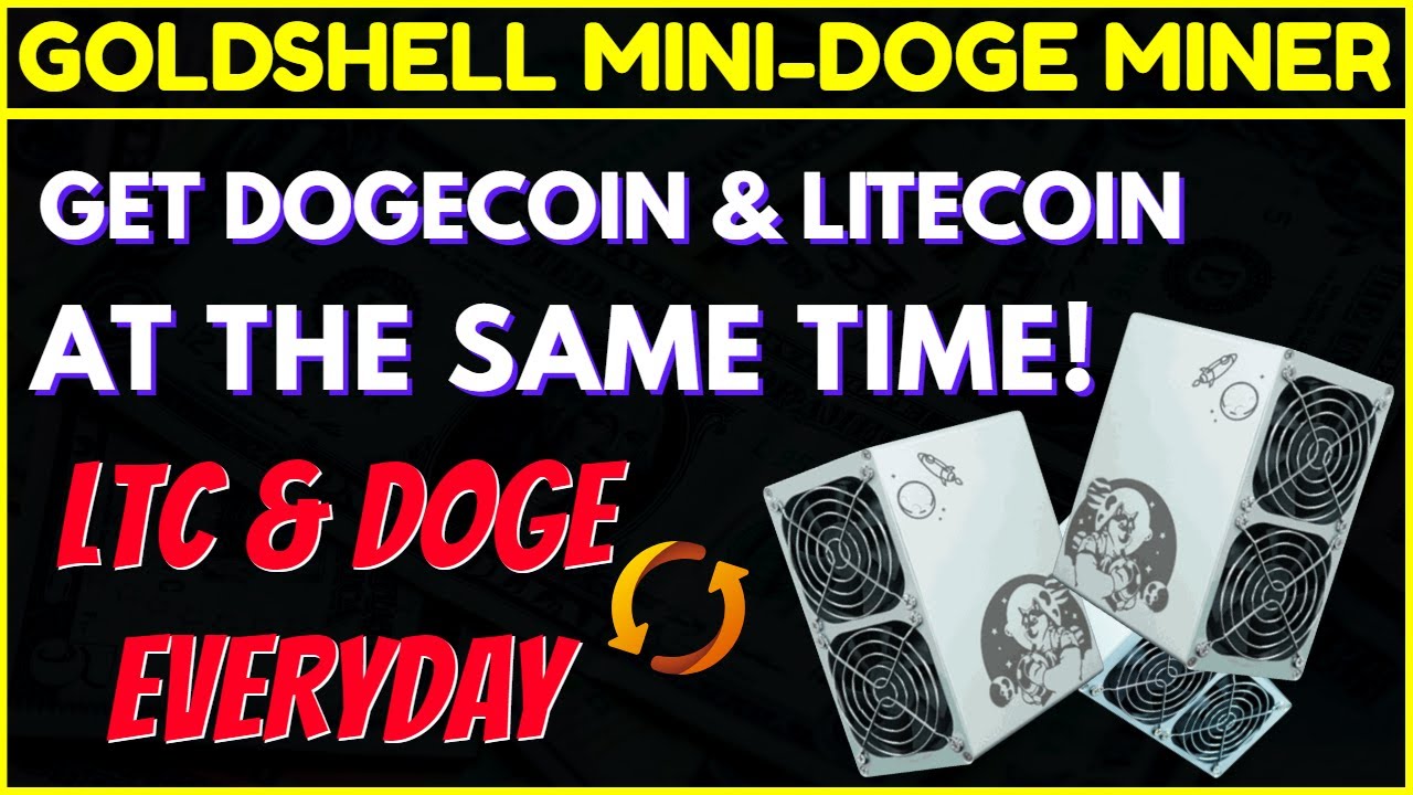 ✅ MINI DOGE MINER REVIEW | Mine Litecoin and Dogecoin At The Same Time !
