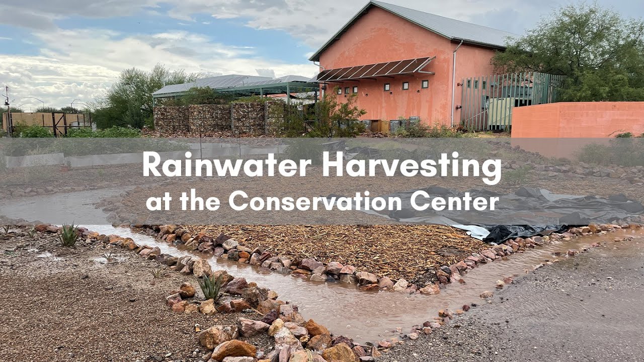 Rainwater Harvesting at the Conservation Center