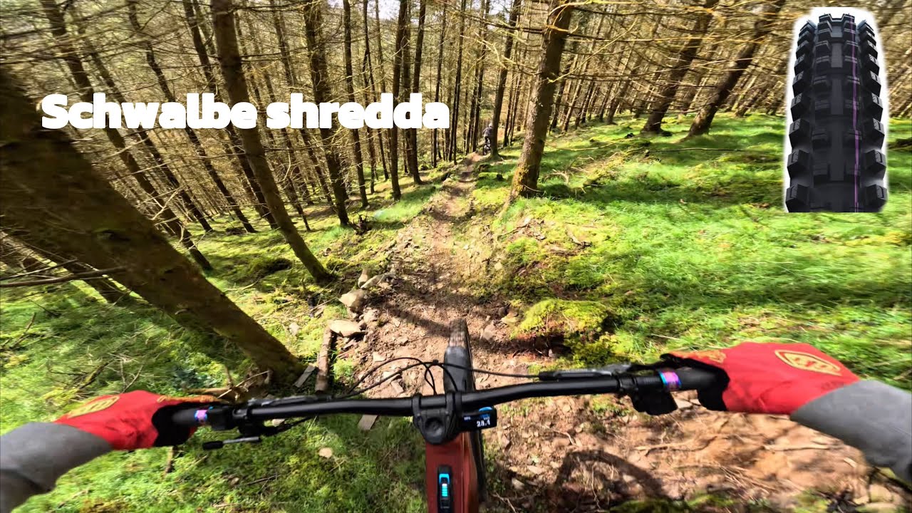 Schwalbe Shredda review-best tyre I’ve ever tried (Mondraker crafty RR)