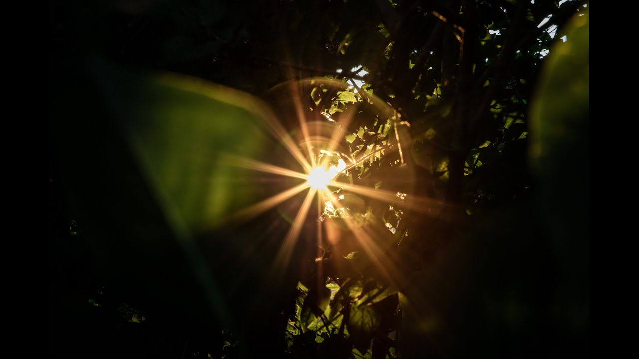 Guided meditation - Reclaiming your true self