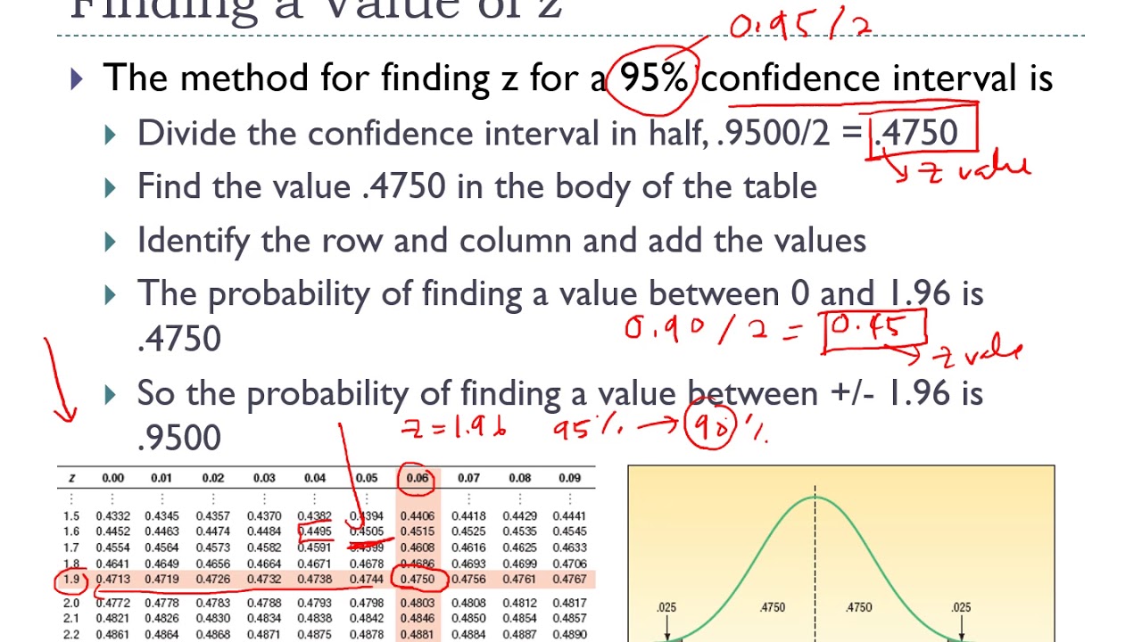Estimation & Confidence Intervals