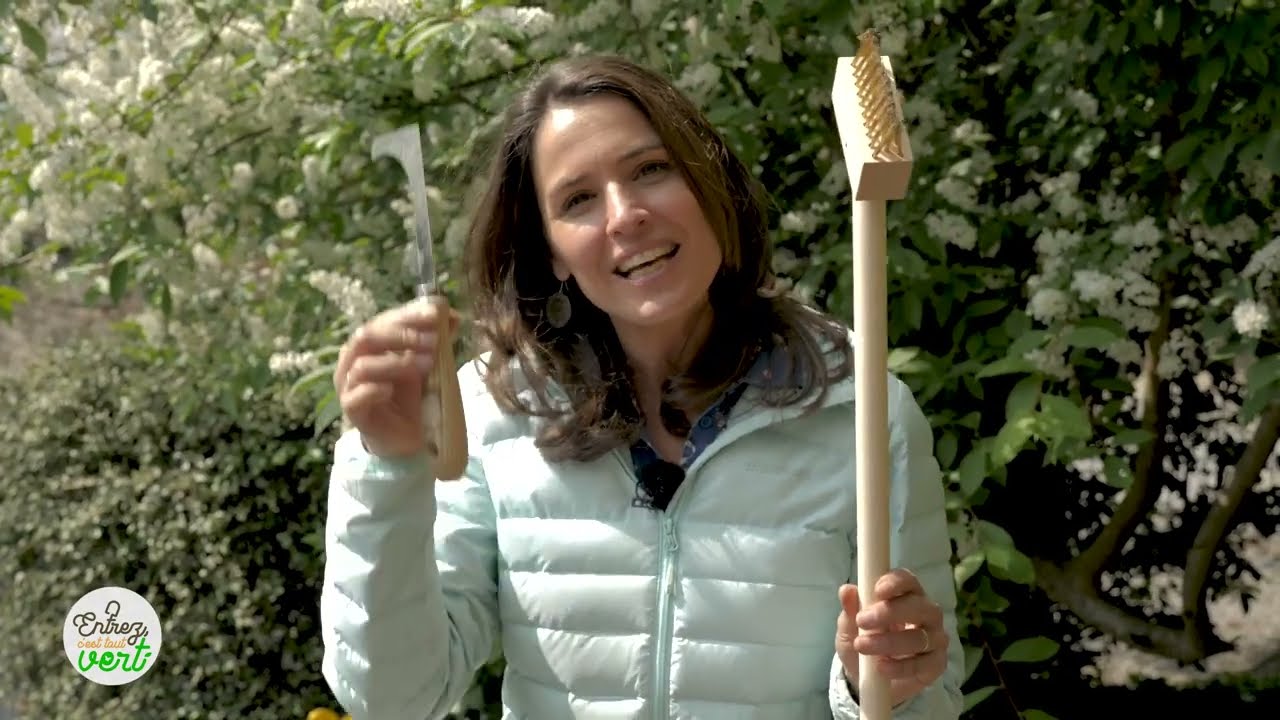 Entrez C'est Tout Vert - #2 : Les "mauvaises herbes" de nos jardins...