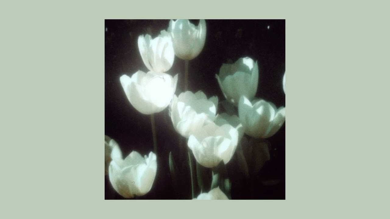 Loser - Beck (sped up)