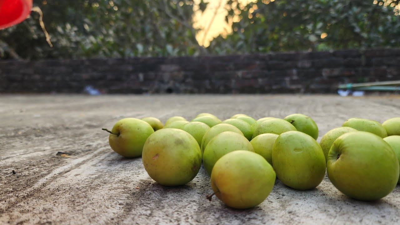 গল্পের আসর ২১