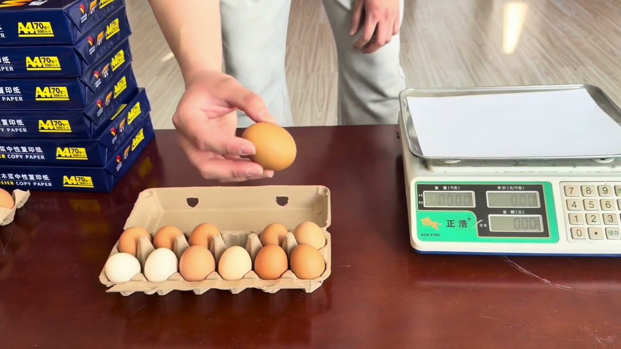 Pulp Molded Product Test#factory #factoryproducts #sustainableproducts #greenpackaging 