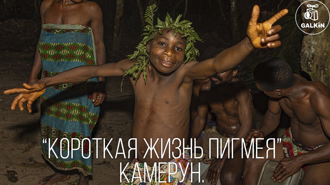 КОРОТКАЯ ЖИЗНЬ ПИГМЕЯ. КАМЕРУН. - (Полная версия)