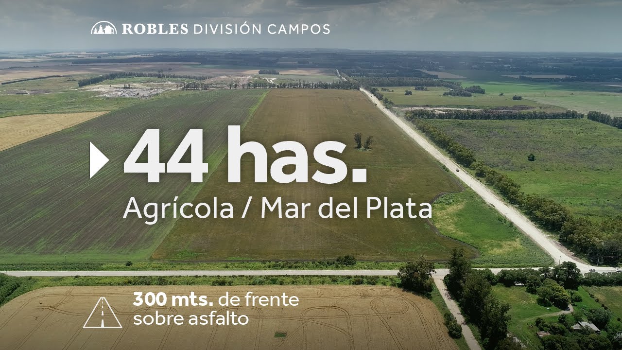 Robles Campos. Mar del Plata 44 ha. Agrícola sobre asfalto