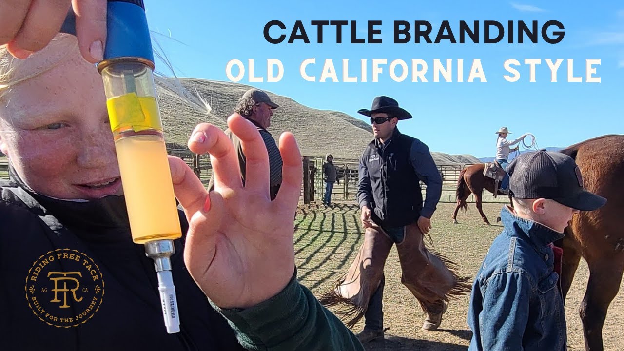Traditional California Branding!