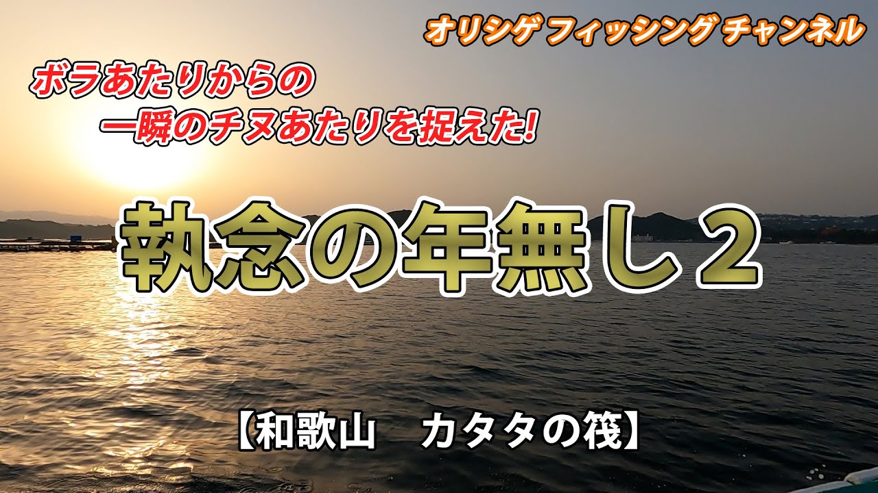 【チヌかかり釣り】2025.3.25 カタタの筏　これぞチヌ釣りの醍醐味！激渋の中からたたき出した奇跡の一枚。