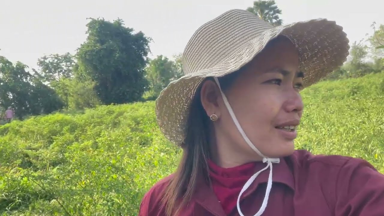 Beautiful Phka Thgnan blooming in our rice field garden
