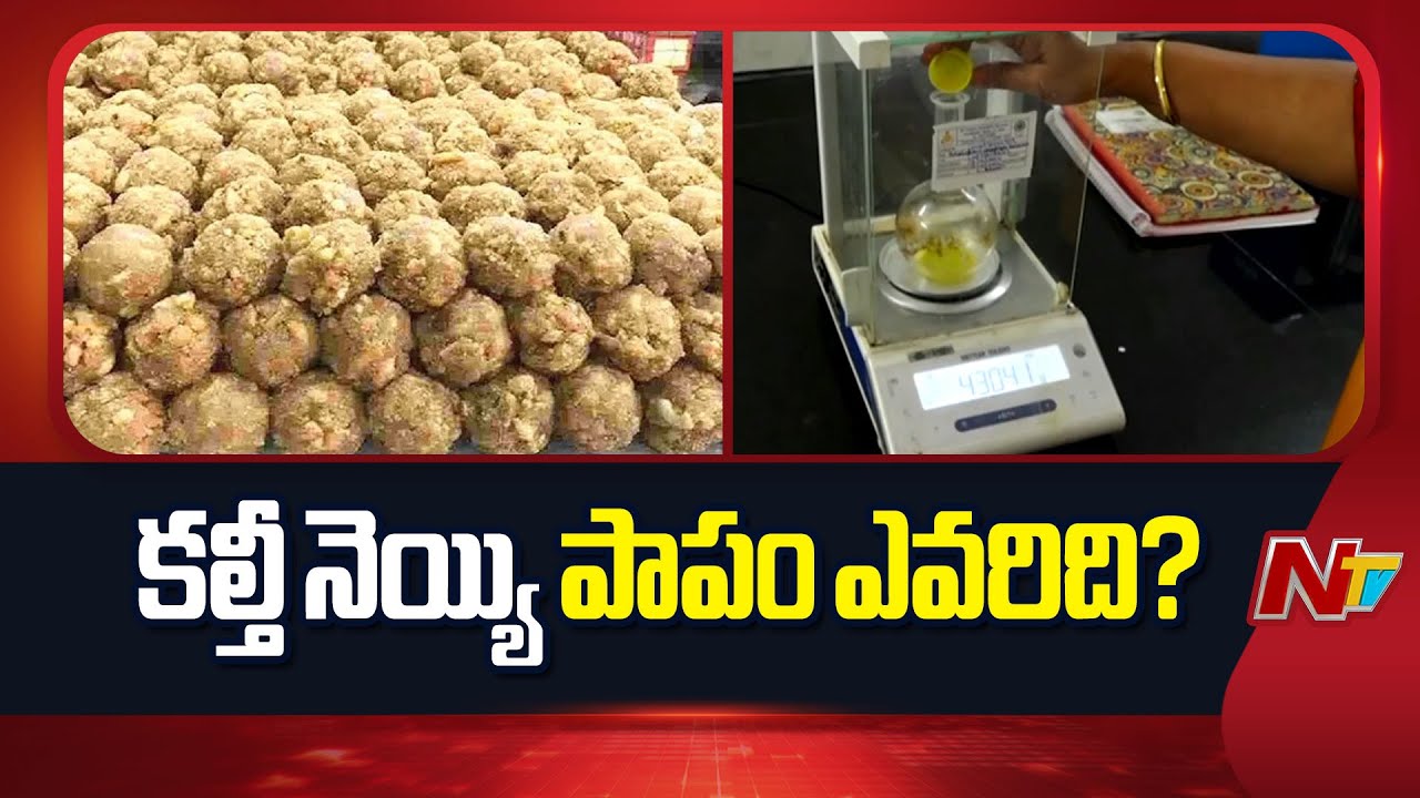 Tirumala Laddu Case: SIT Files First Chargesheet In Nellore ACB Court | NTV Telugu