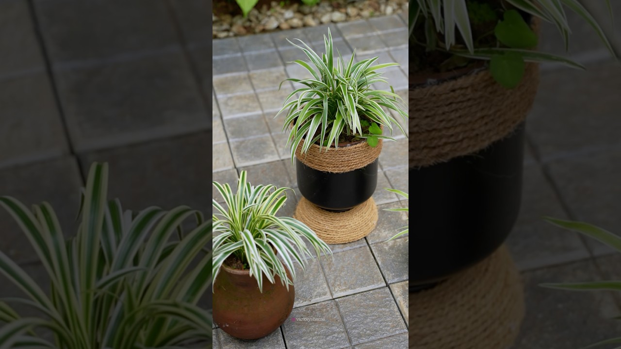 DIY container planter 🪴 #homeplants #gardenflowers #garden #handmadeplanter #gardenplants #home