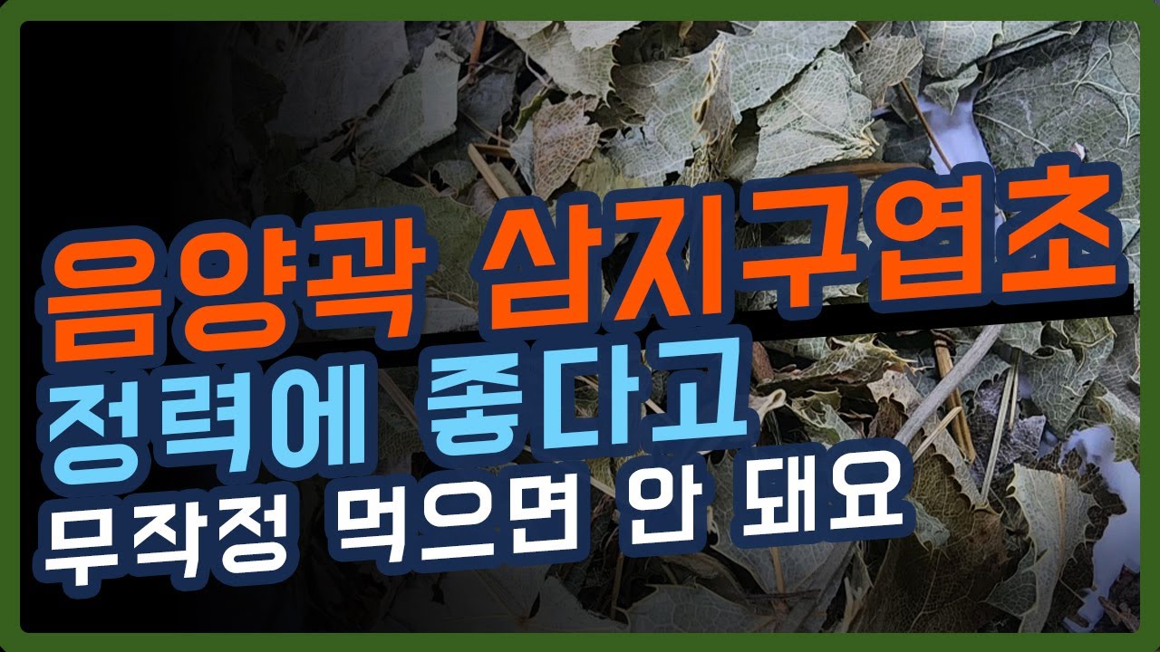 음양곽 삼지구엽초 정력에 좋다고 무작정 먹으면 안 돼요