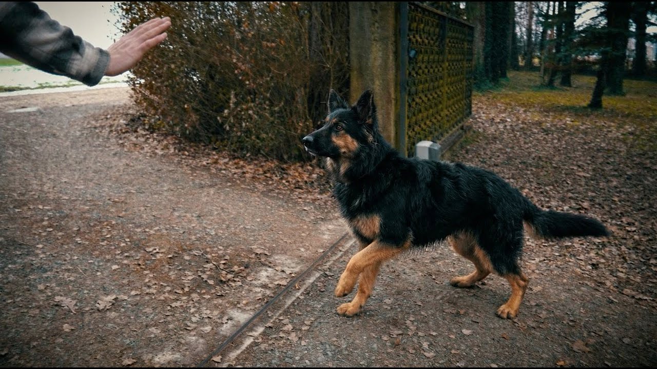 Nevidljiva granica (vizualna barijera)