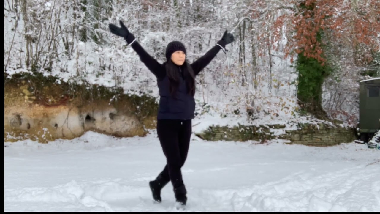 18 Tai Chi Qigong Shibashi Set 2 with Karen