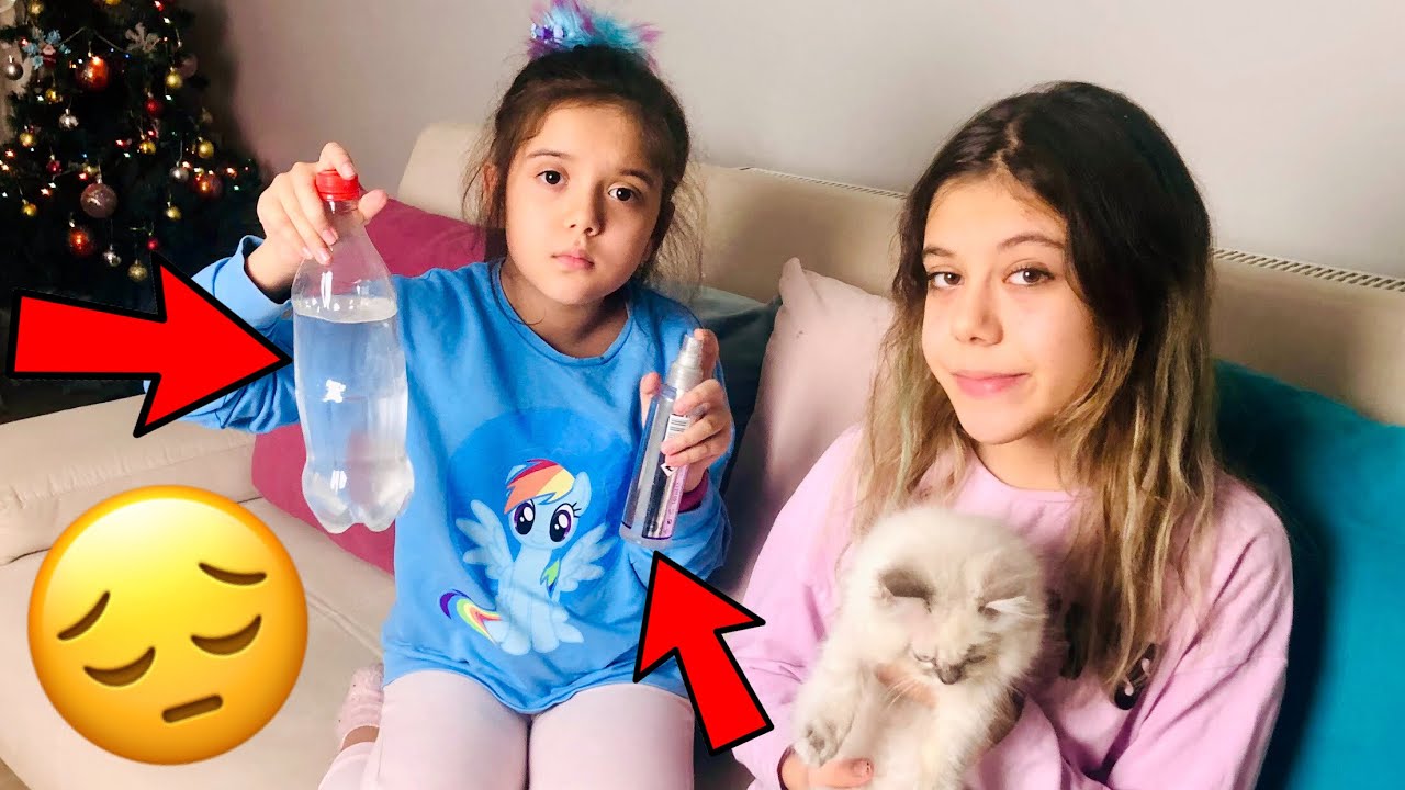 KEDİMİZ LAVİNYA'YI YIKADIK Ecosin ile Mantar Tedavisi !! Kedimiz Hastalandı !! Kedi Bakımı