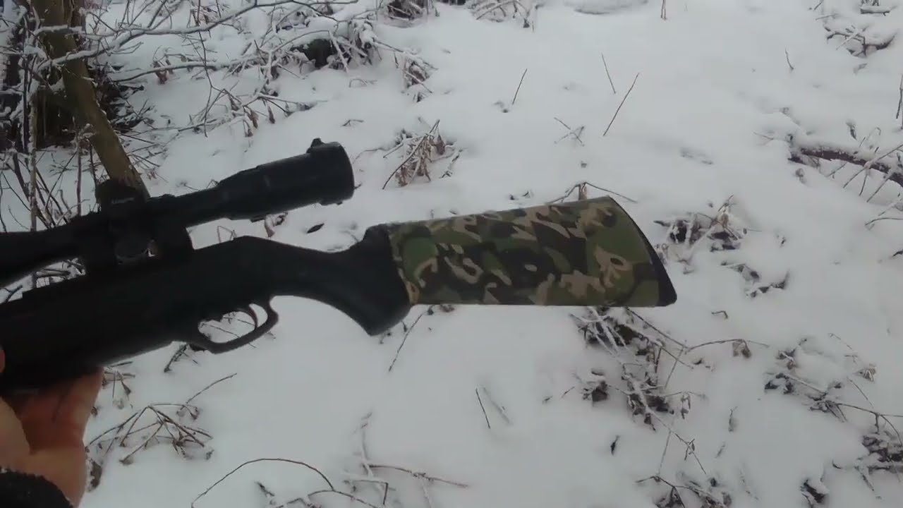 Охота с пневматикой мр512 на лису в снегопад гп140атм
