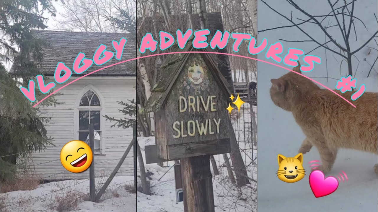 ✨️ Vloggy Adventures #1 &ndash; Seria vlog&oacute;w studenta dziennikarstwa ✨️