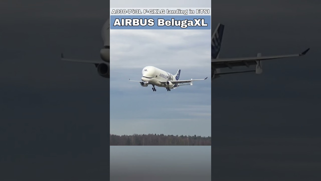 Airbus Beluga XL (A330-743L, F-GXLG) landing in Ingolstadt Manching