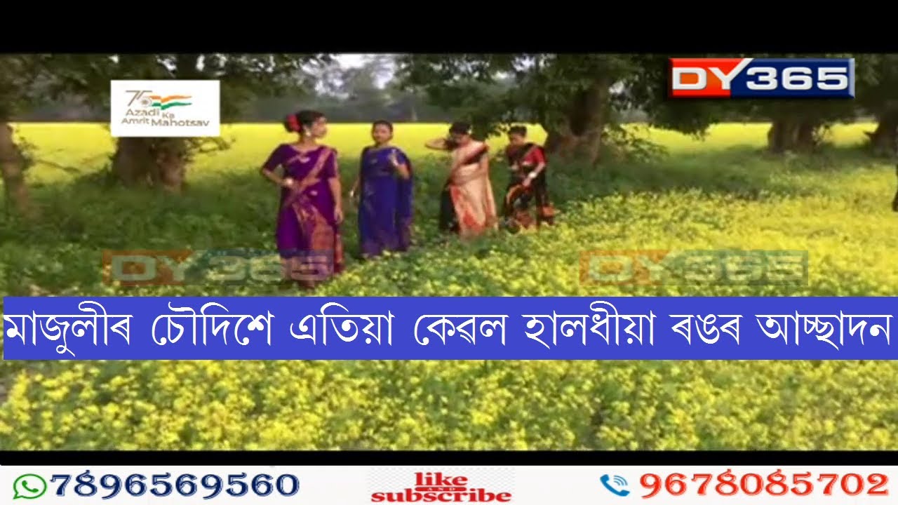 প্ৰকৃতিৰ অনুপম সৃষ্টিৰে সুশোভিত হৈ পৰিছে নদীদ্বীপ মাজুলী