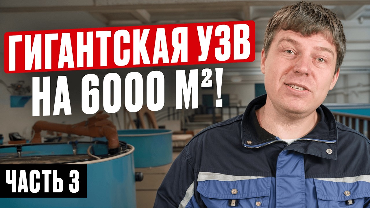 Строю САМУЮ БОЛЬШУЮ УЗВ-ферму в Туле с нуля! Вся правда про стройку, оборудование, икру и ошибки