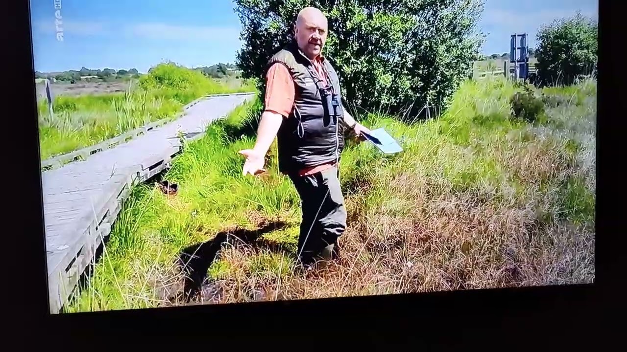 Clara Bog featured on Arte TV Germany