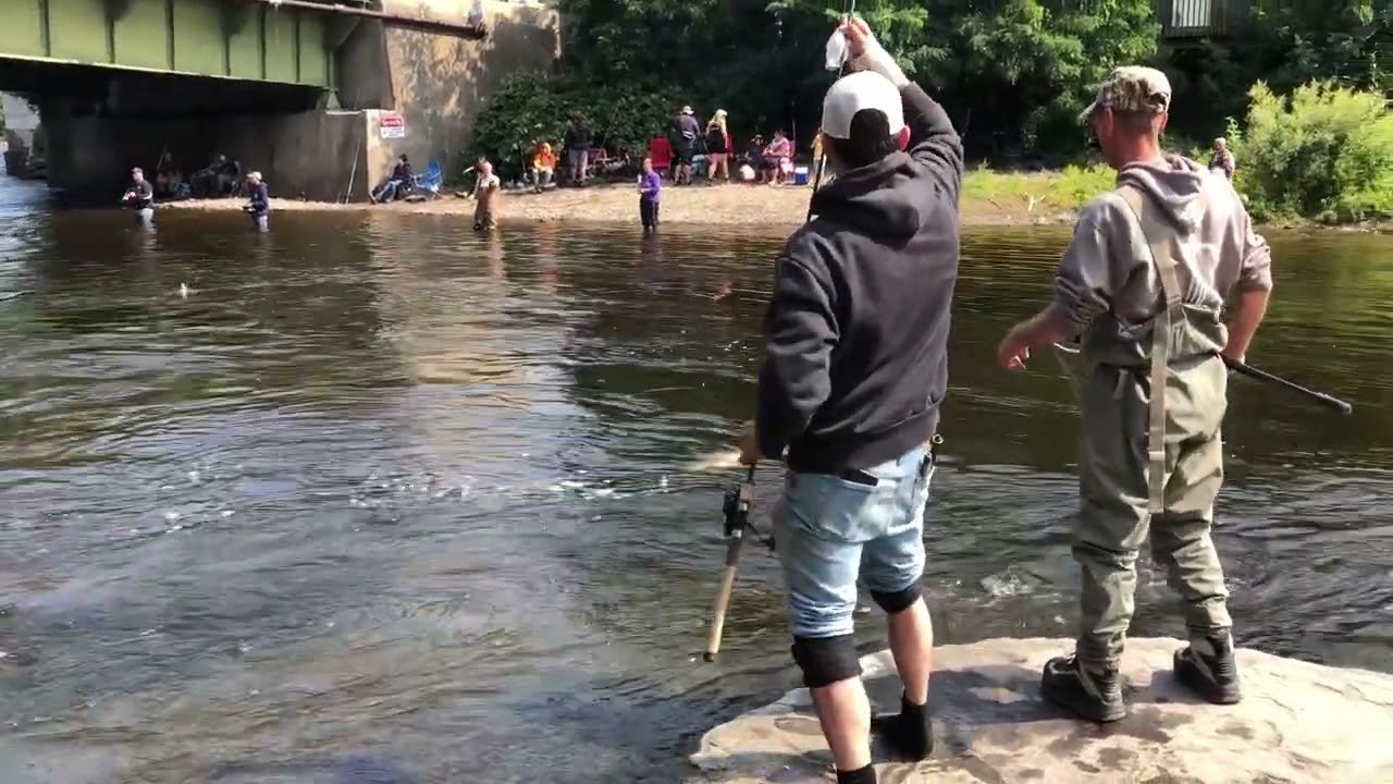 THE 2022 RUN Pulaski NY Salmon River Catch September 17 2022
