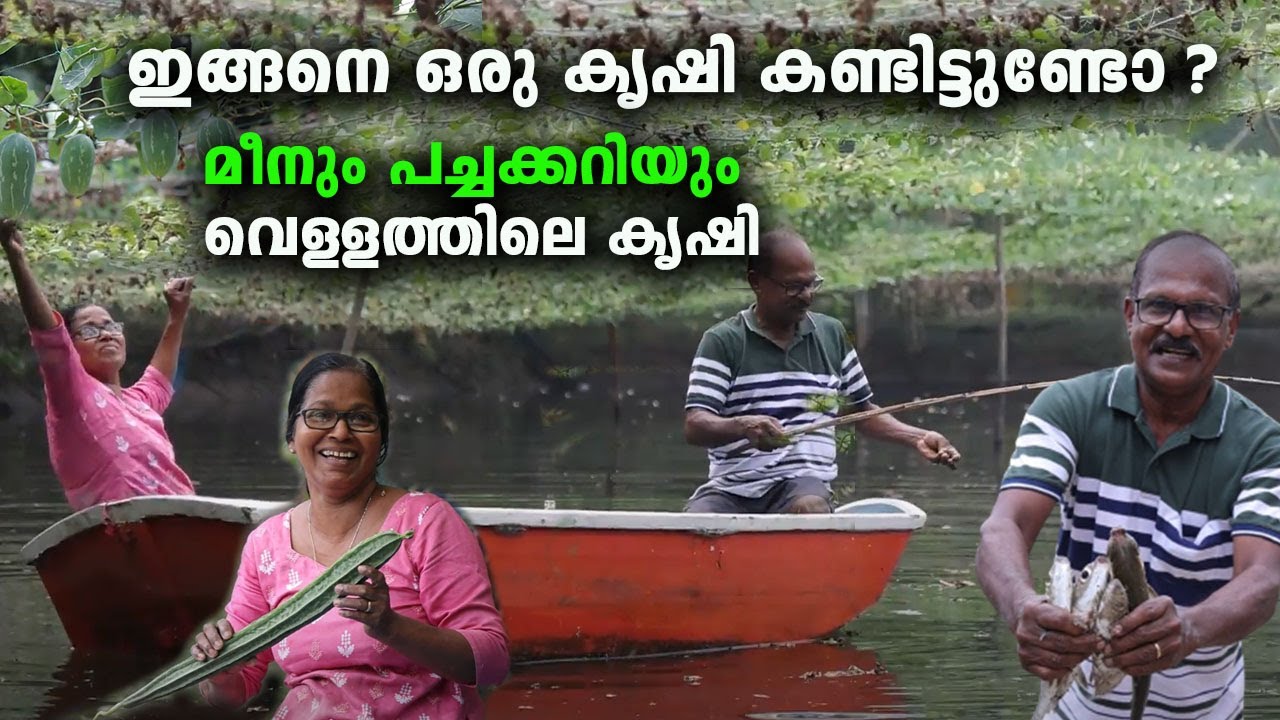 മീനും പച്ചക്കറിയും ...കുളത്തിലെ വെറൈറ്റി കൃഷി Variety Farming, KJ Francis , Cherthala ,