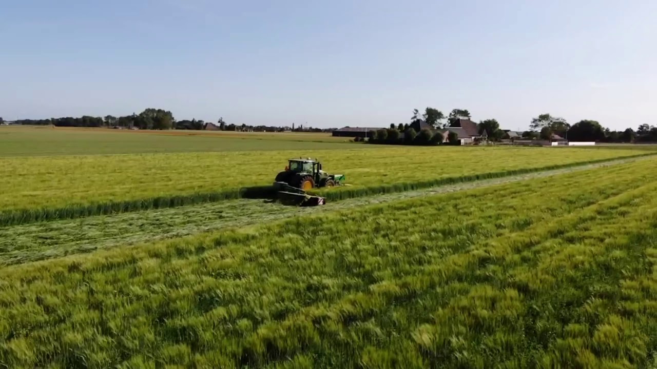 Tweede snede oogsten 2020