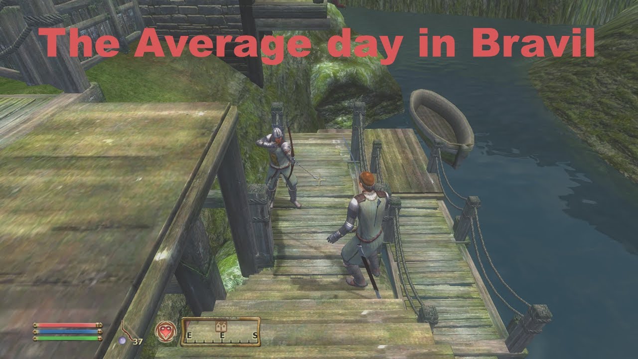 The Average day in Bravil