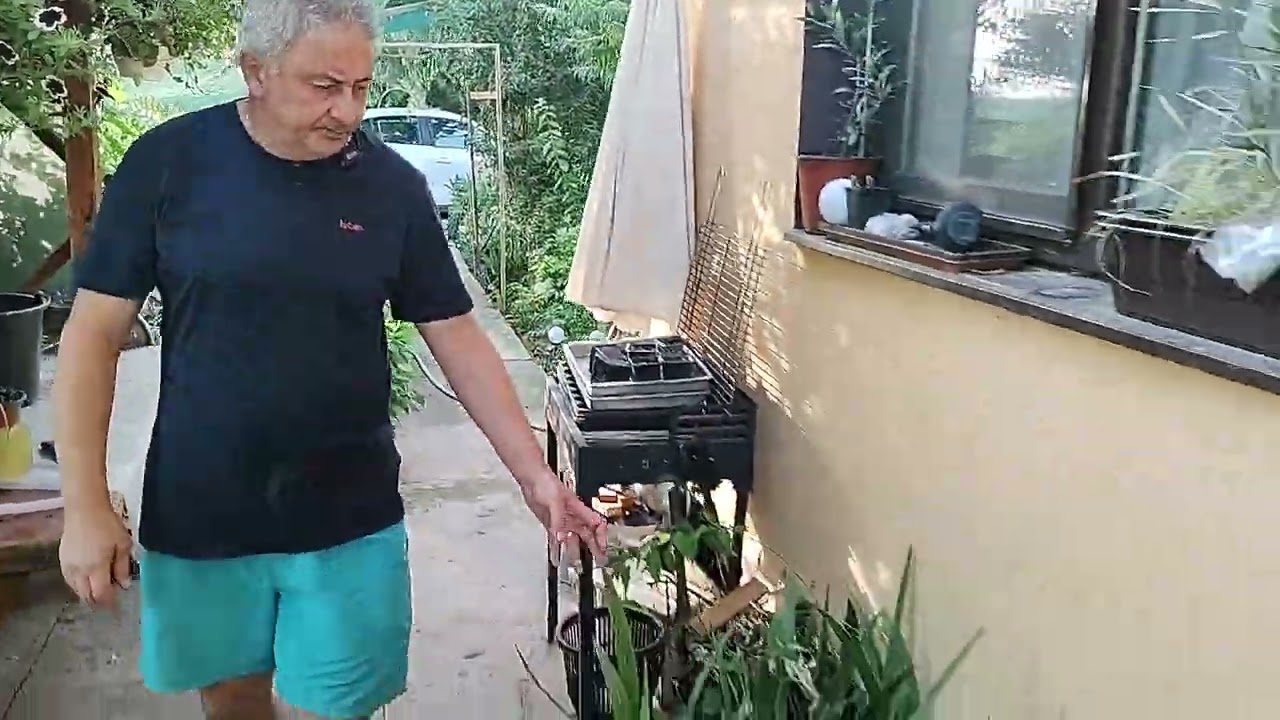 Prezentarea unor tipuri de palmieri din gradina noastra.