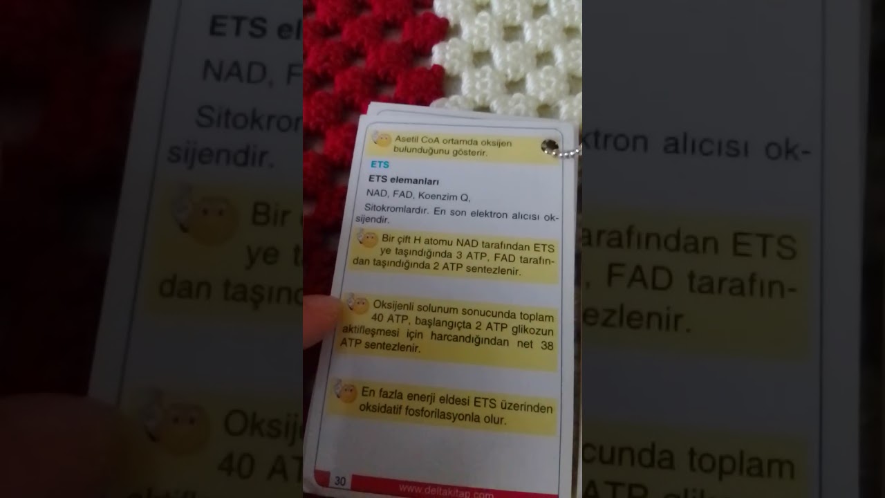 #aytbiyoloji #oksijenlisolunum
