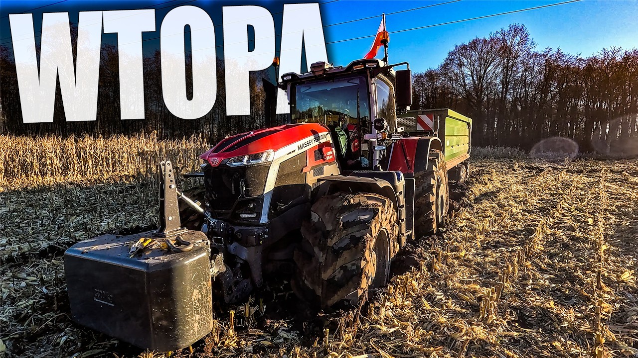 UTOPIŁEM NAJWIĘKSZY CIĄGNIK | PIERWSZY RAZ COŚ TAKIEGO WIDZĘ! | Zbieramy kukurydzę na ziarno