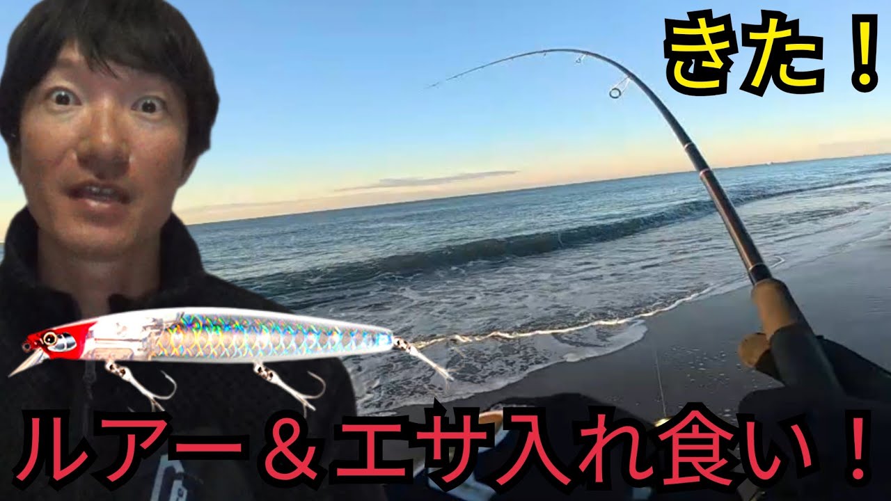 【激速】遠州灘サーフ激熱！ミノーで炸裂＆キス無限入れ食い！刺身とフライでレモンサワー優勝🍺