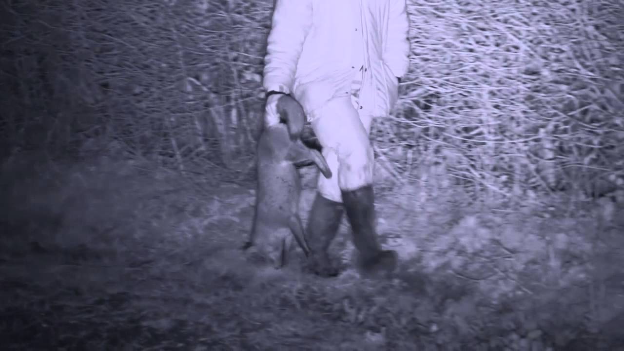 Foxing with the Yukon Photon - The Shooting Show TV