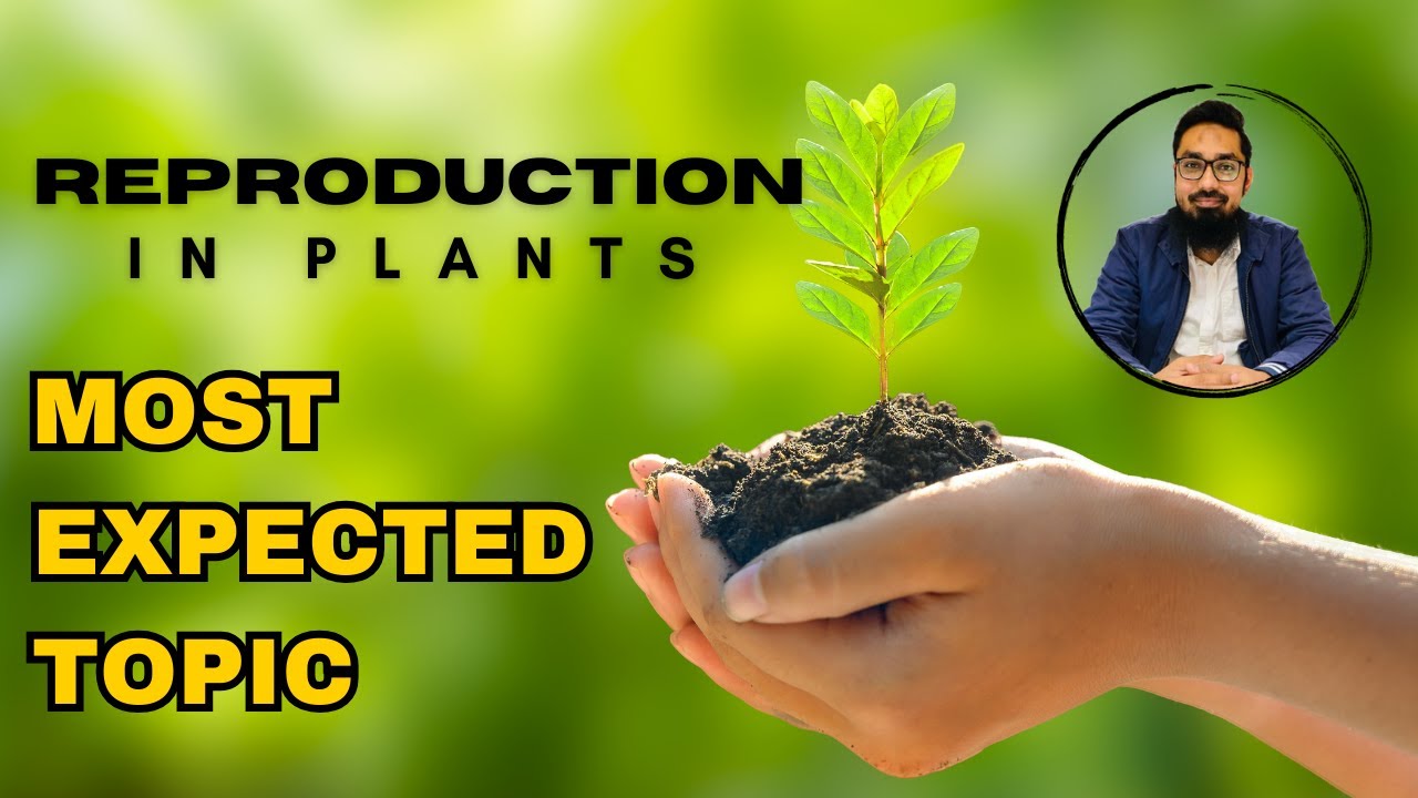 Reproduction in Plants | Part 3 | Exam-Focused Topic | Biology O Level/IGCSE | Dr. Noor Muhammad