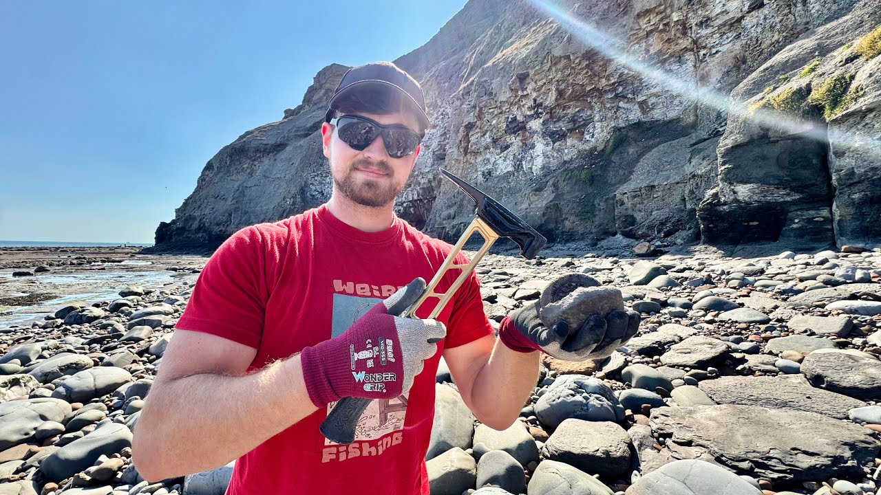 Fossil Hunting by a Relaxing Beach! Finding Ammonites and Squid in Silence